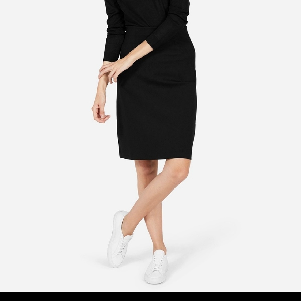 Everlane Ponte Pencil Skirt